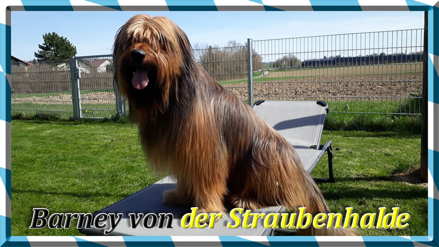 Wäller von der Straubenhalde